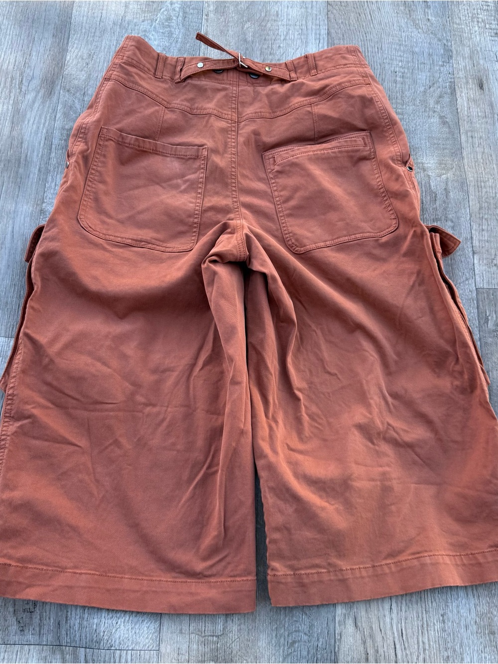Anthropologie Rust-Brown Cargo Bermuda Shorts - Picture 8 of 11